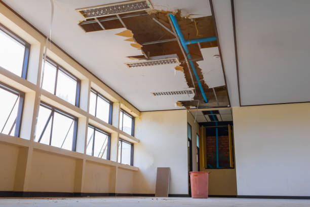  Mission, SD Water damage restoration Pros