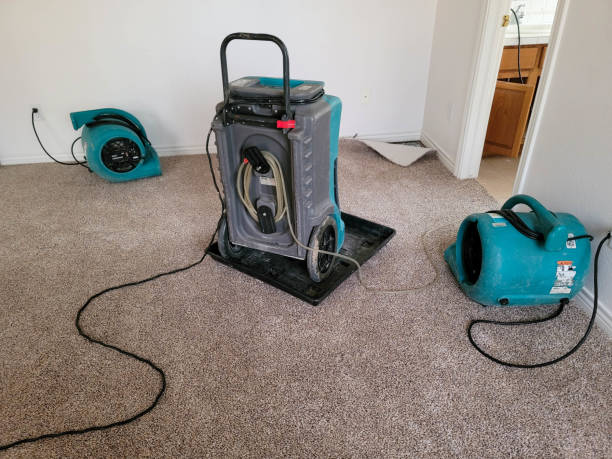 Best Water damage restoration near me  in Mission, SD