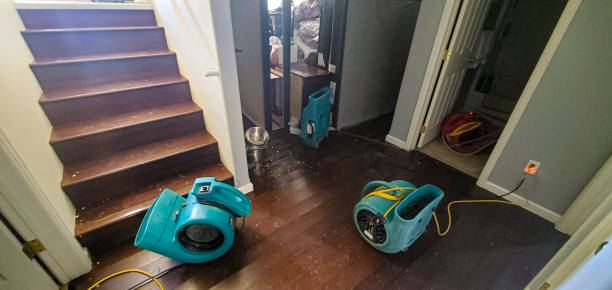 Best Ceiling water damage repair  in Mission, SD