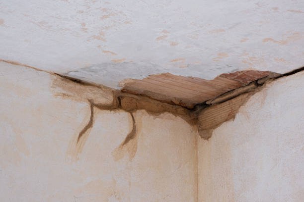 Best Local water damage restoration  in Mission, SD