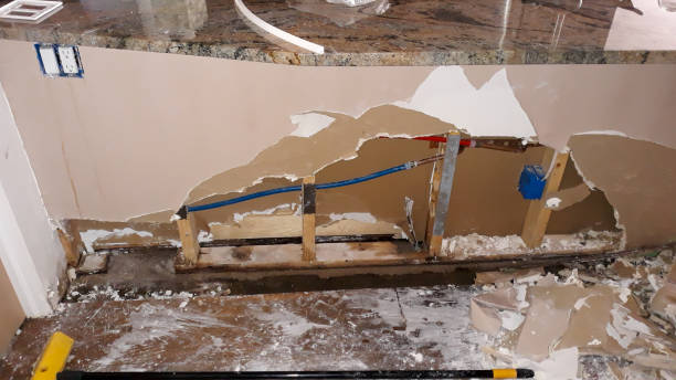 Best Water damage restoration process  in Mission, SD