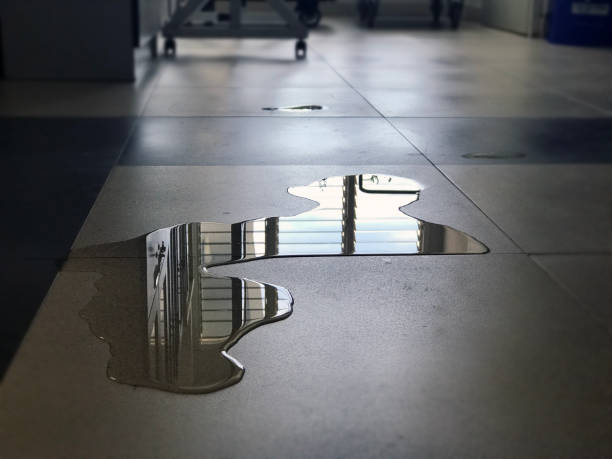 Best Water damage mitigation services  in Mission, SD
