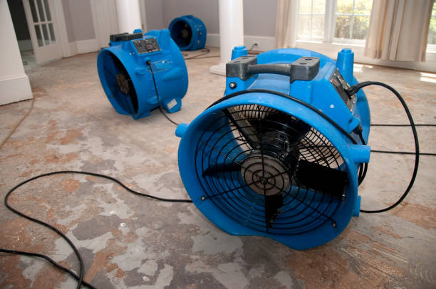 Best Residential water damage restoration  in Mission, SD