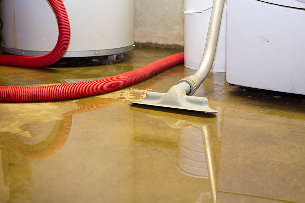 Best Flooded house restoration  in Mission, SD