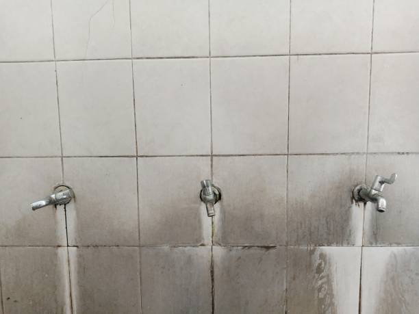 Best Water damage restoration near me  in Mission, SD
