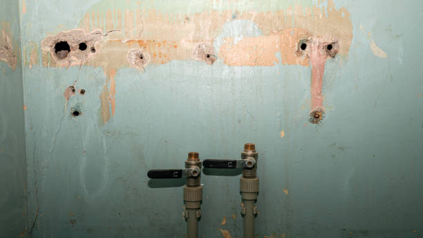 Best Flood damage cleanup  in Mission, SD