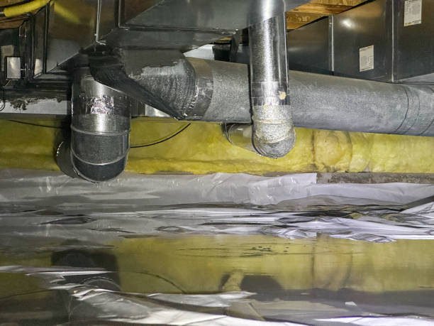 Best Mold removal after water damage  in Mission, SD